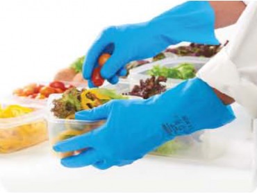 SUMMITECH PROFESSIONAL GA-F-09C