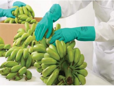 SUMMITECH PROFESSIONAL GC-U-07C